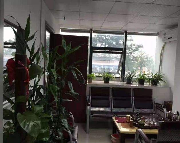 公司展示